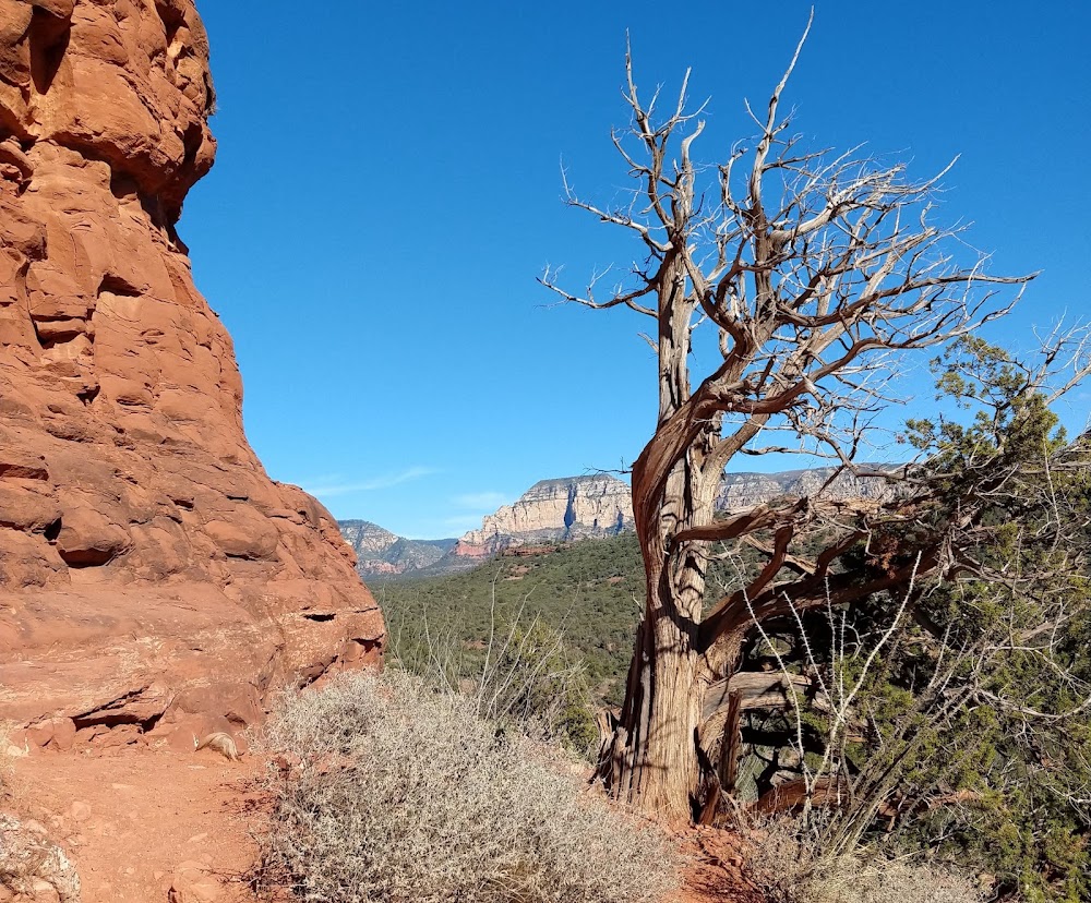 Boynton Canyon photo 3