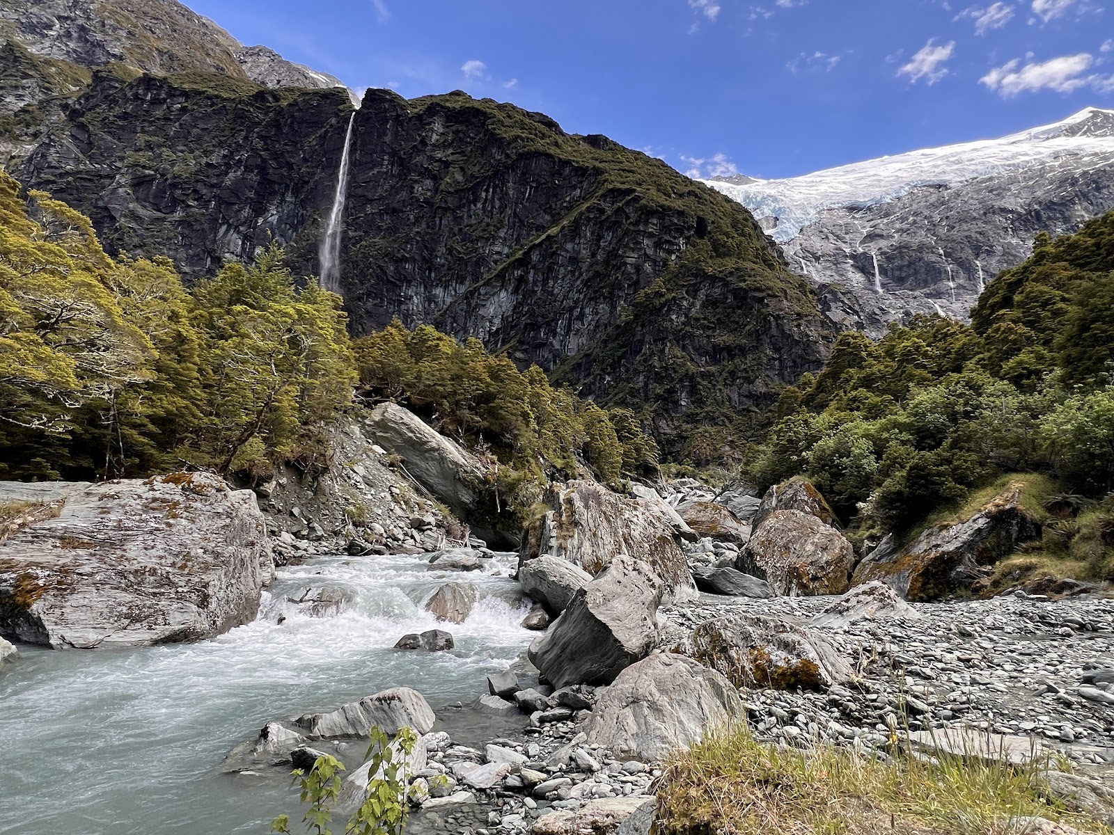 Rob Roy Glacier Track