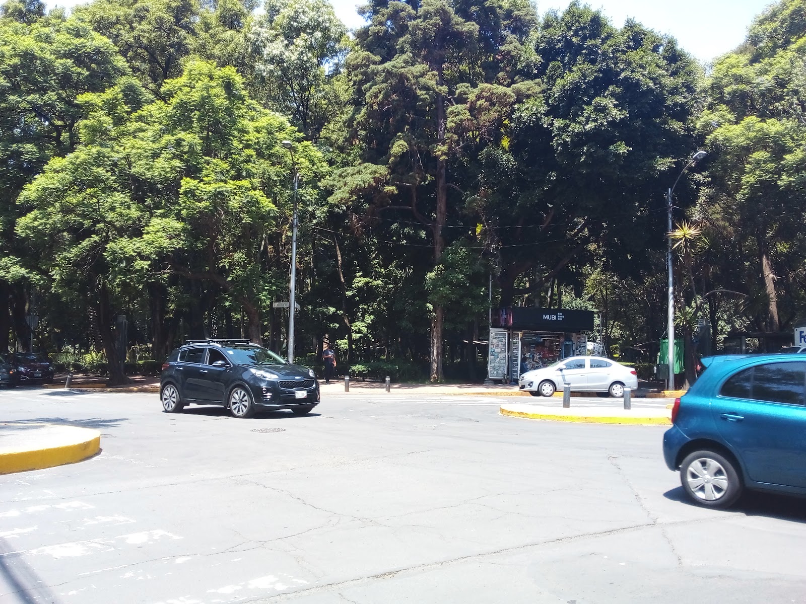 Parque mexico