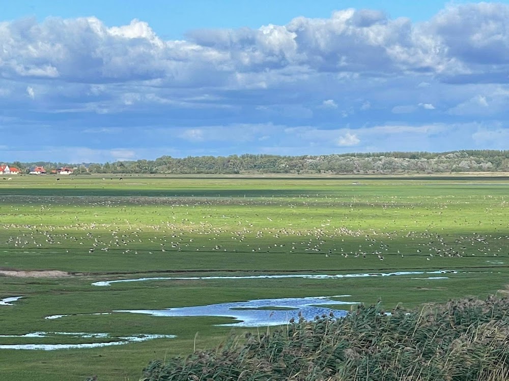 Hortobágy National Park