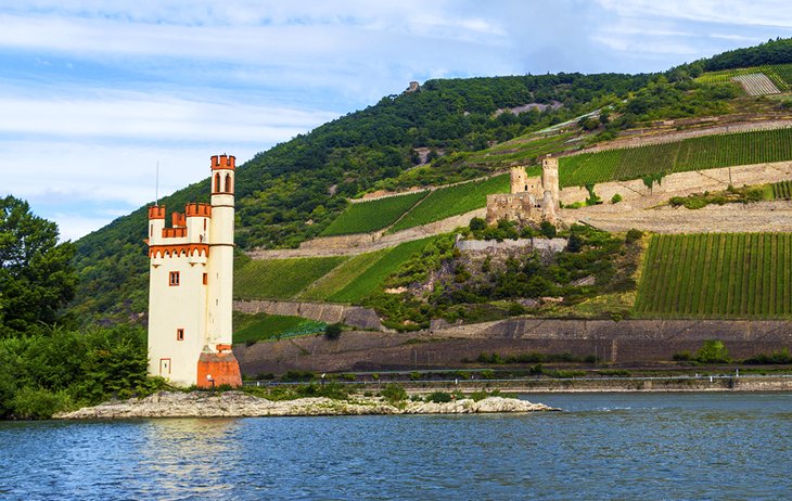 Rhine River