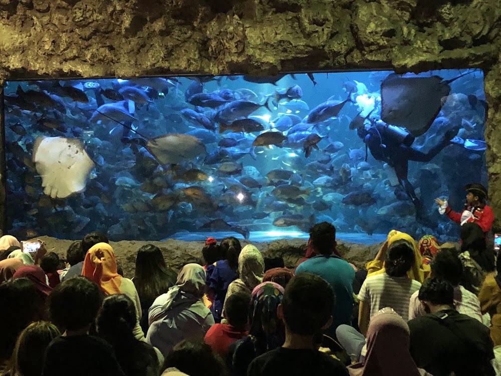 SeaWorld Ancol