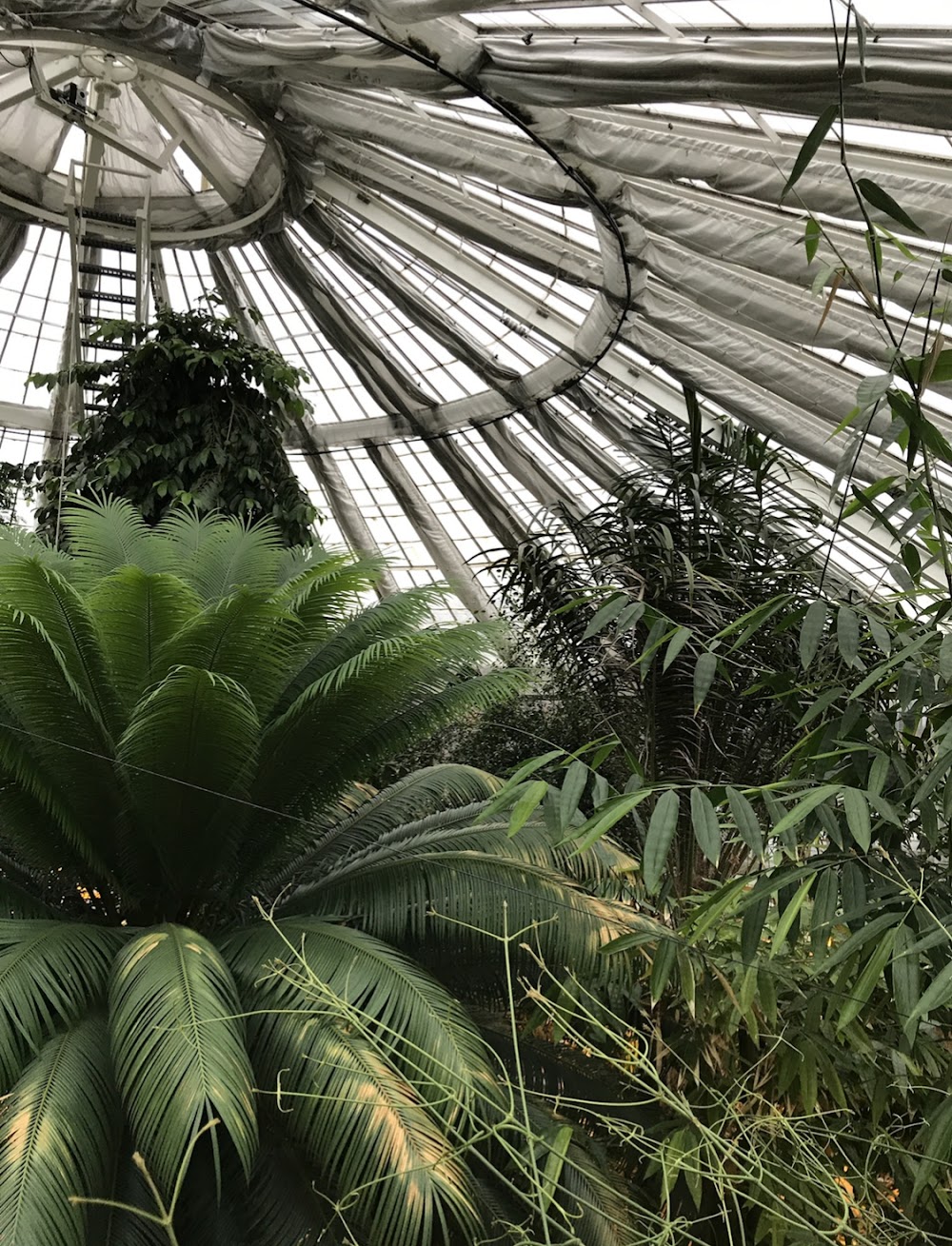 Botanical Garden and Museum photo 2