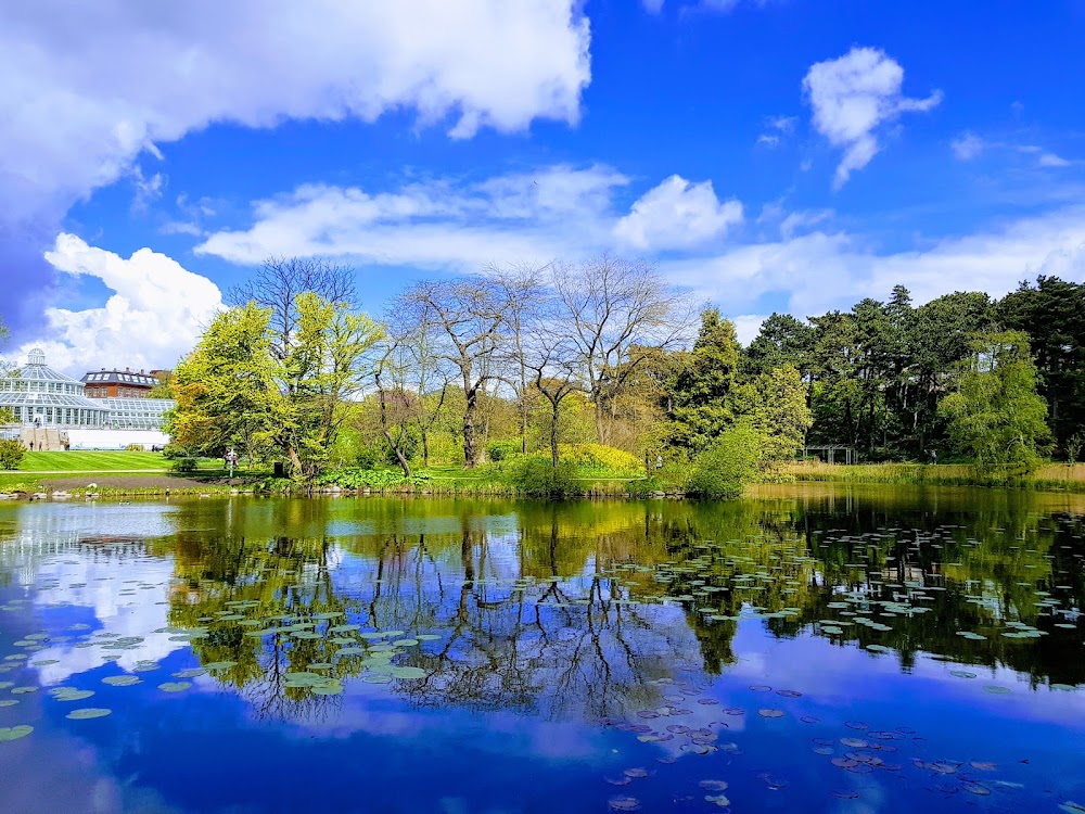 Botanical Garden and Museum photo 3