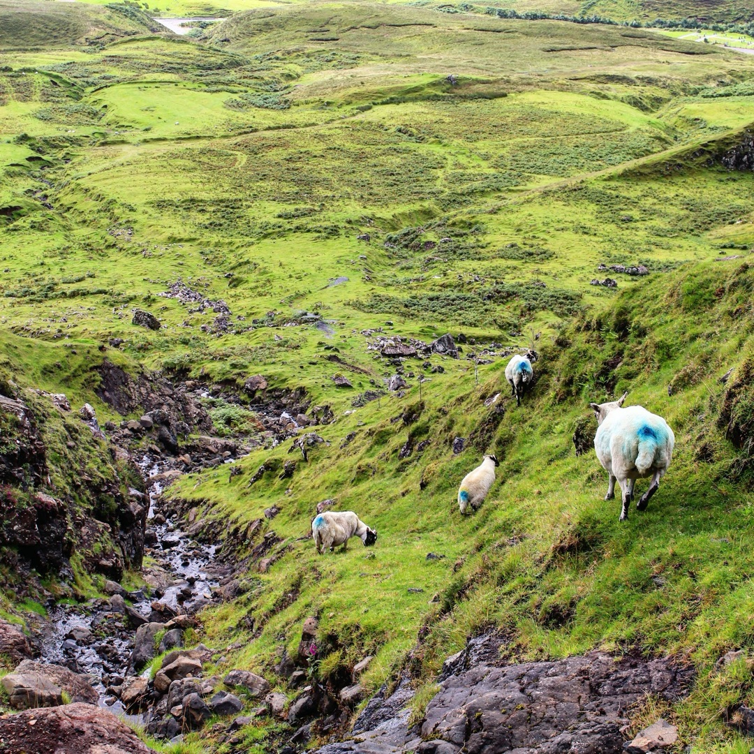 The Quiraing photo 2