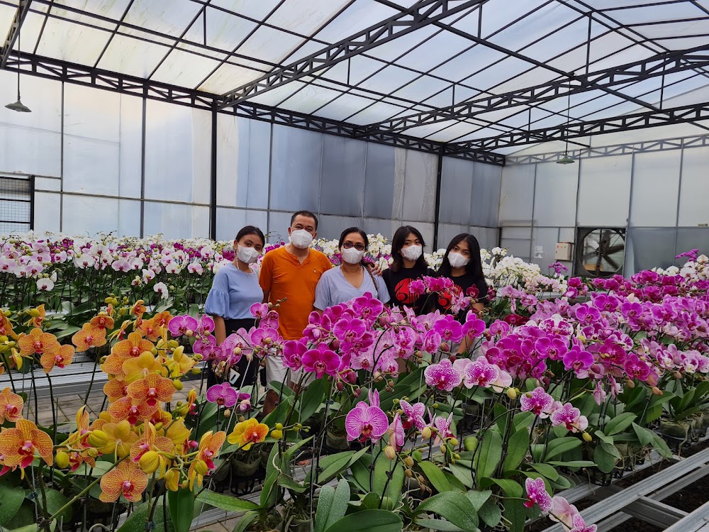Bali Orchid Garden photo 2