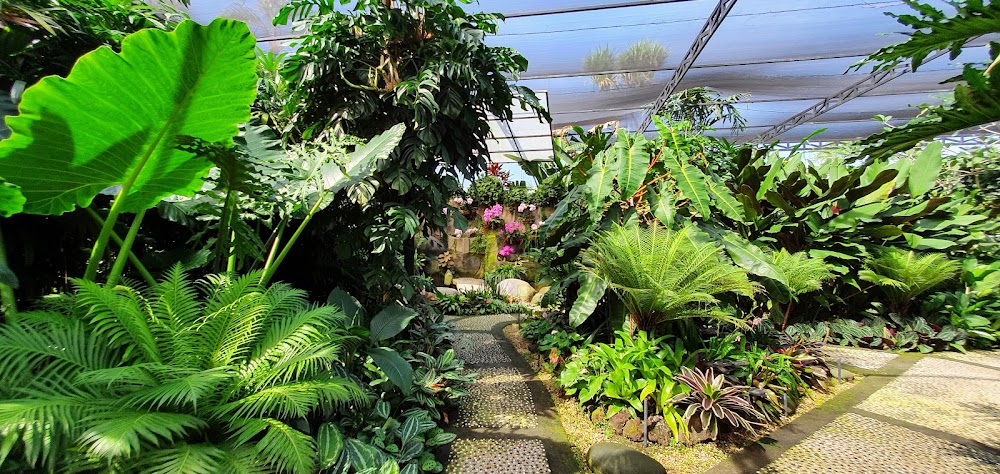 Bali Orchid Garden photo 3