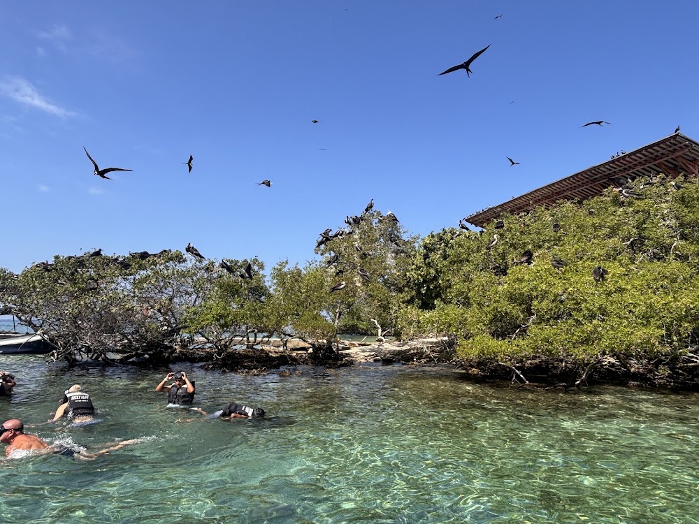Rosario Islands photo 3