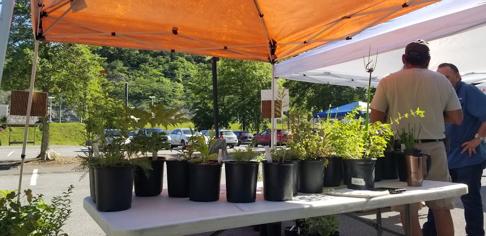 Gatlinburg Farmers Market photo 2