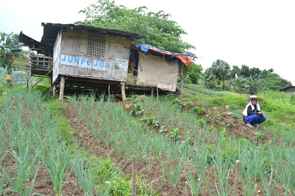Sirao Flower Garden photo 3