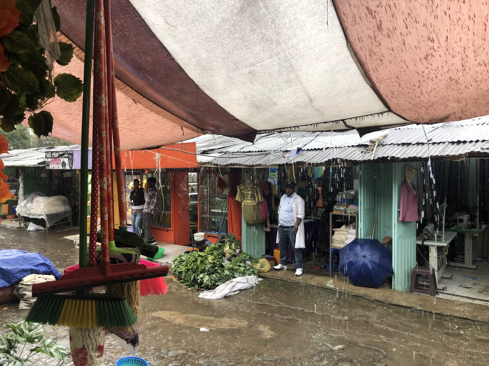 Shola Market