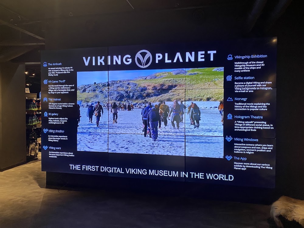 The Viking Planet