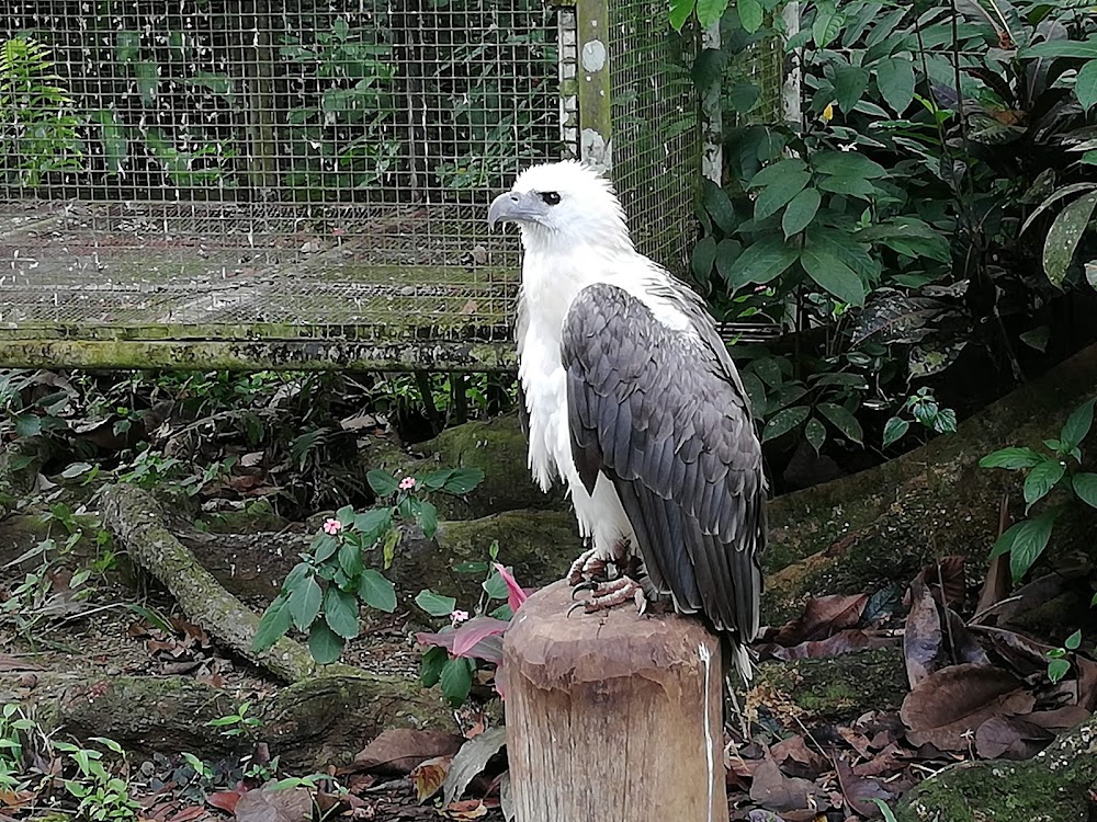 Philippine Eagle Center photo 3