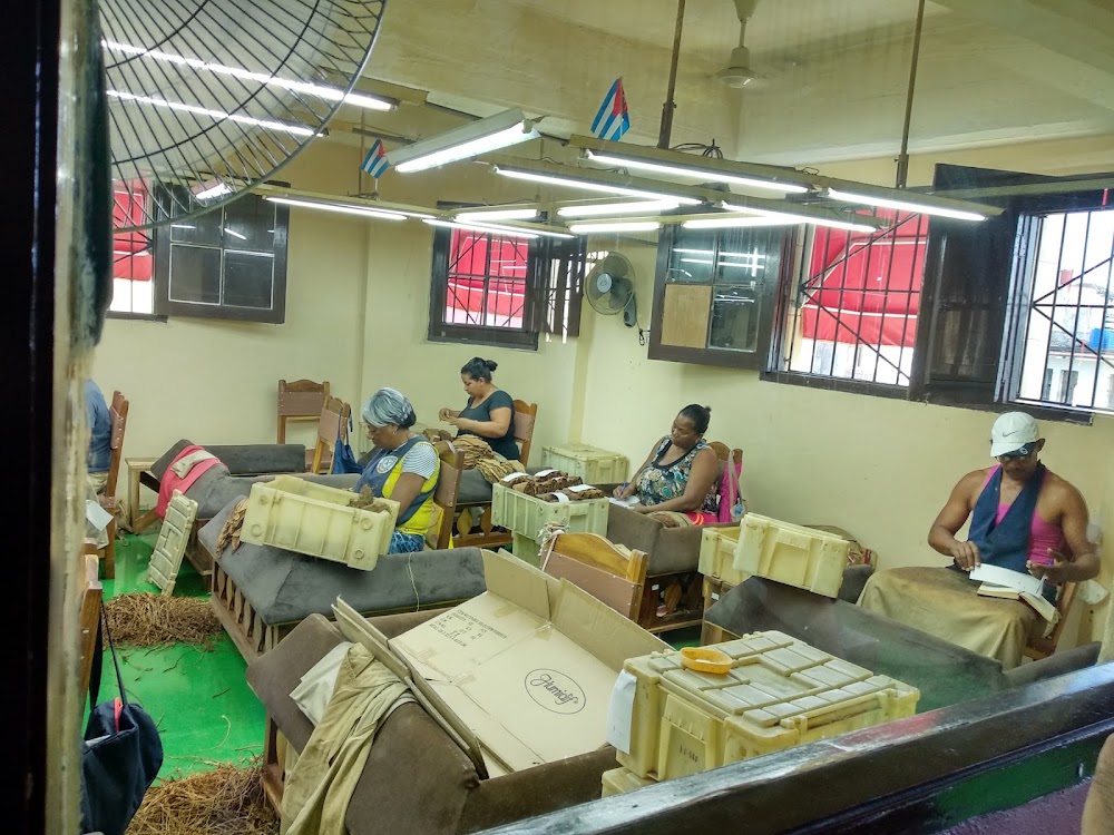 Partagas Cigar Factory photo 2