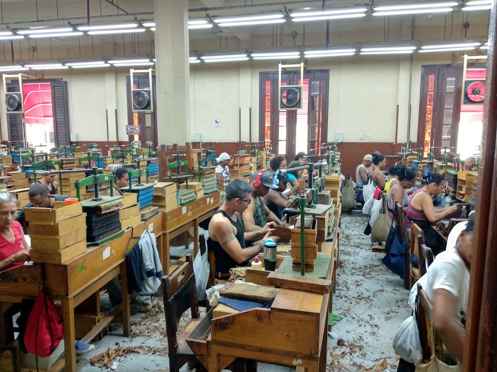 Partagas Cigar Factory photo 3