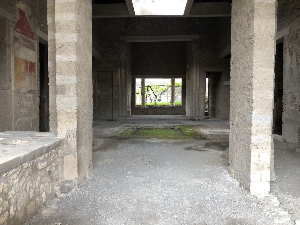 House of the Surgeon photo 3