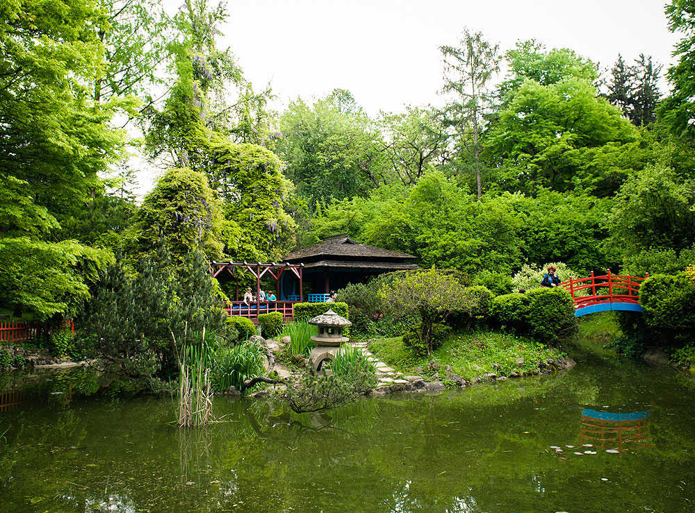 Alexandru Borza Botanical Garden photo 2
