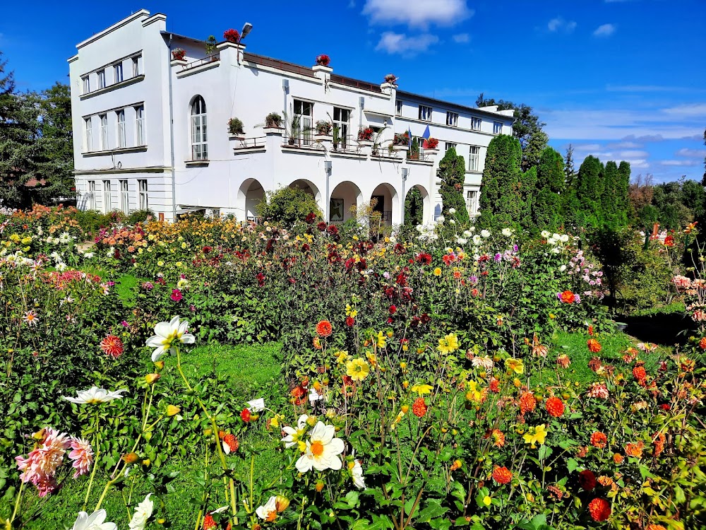 Alexandru Borza Botanical Garden photo 3