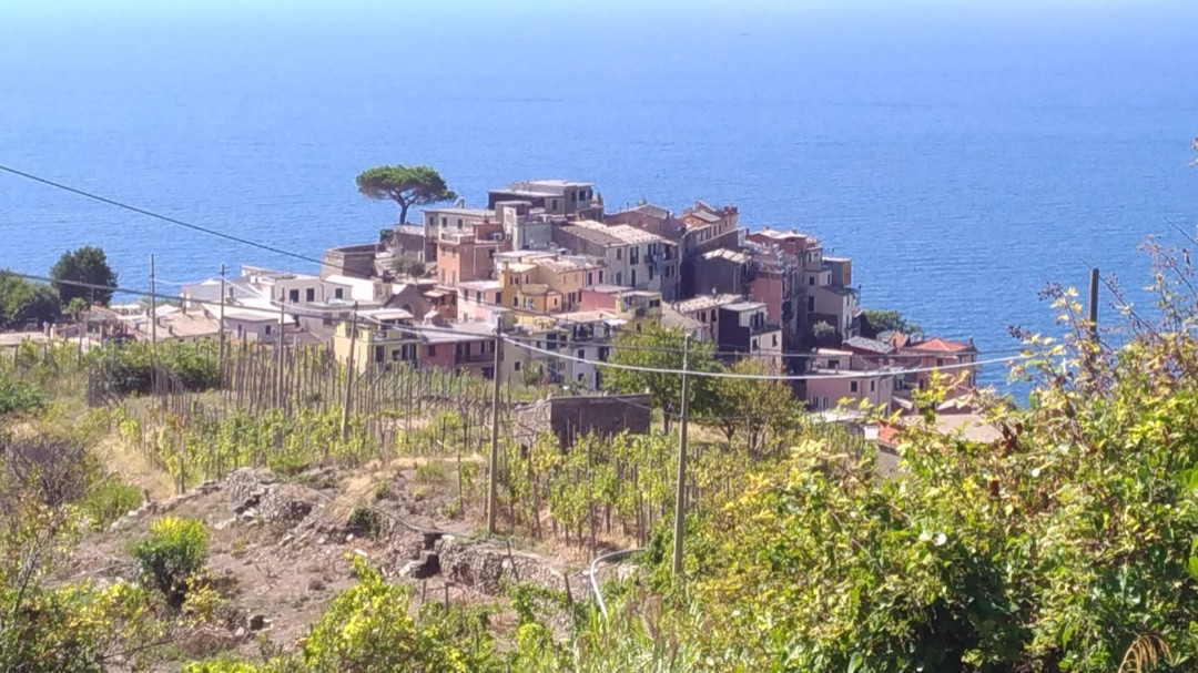 Corniglia