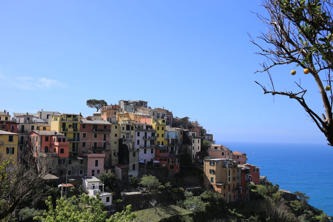 Corniglia photo 3