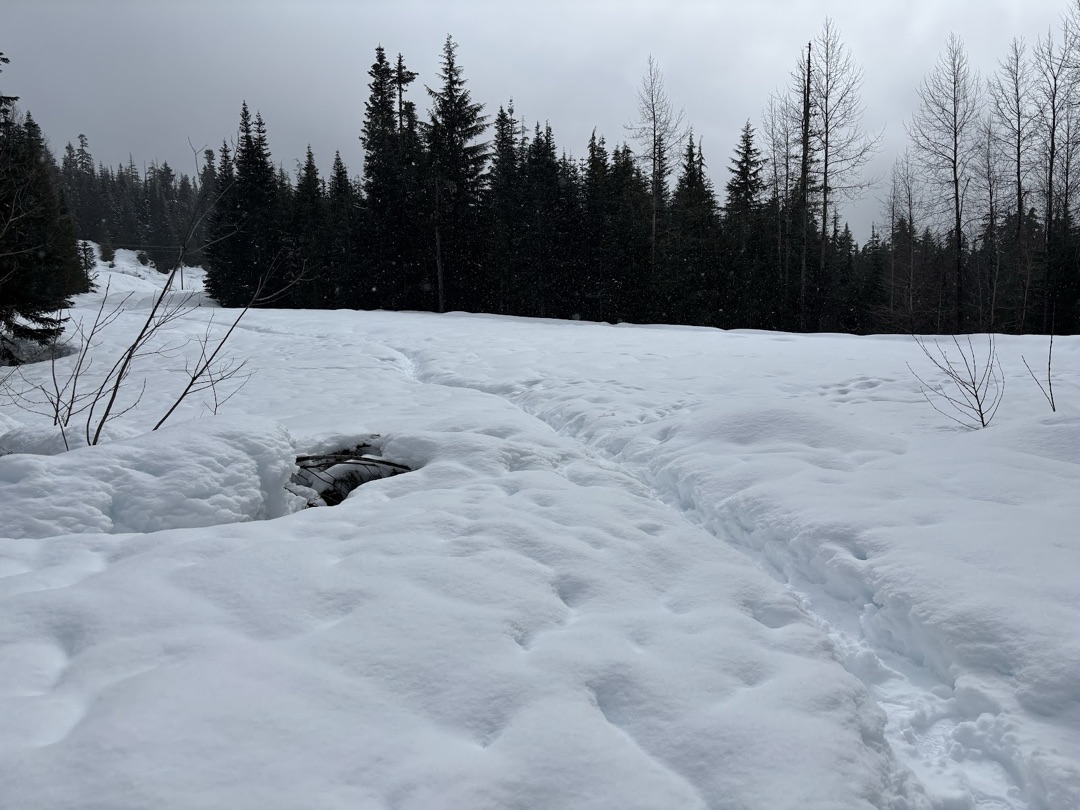 Alexander Falls photo 2