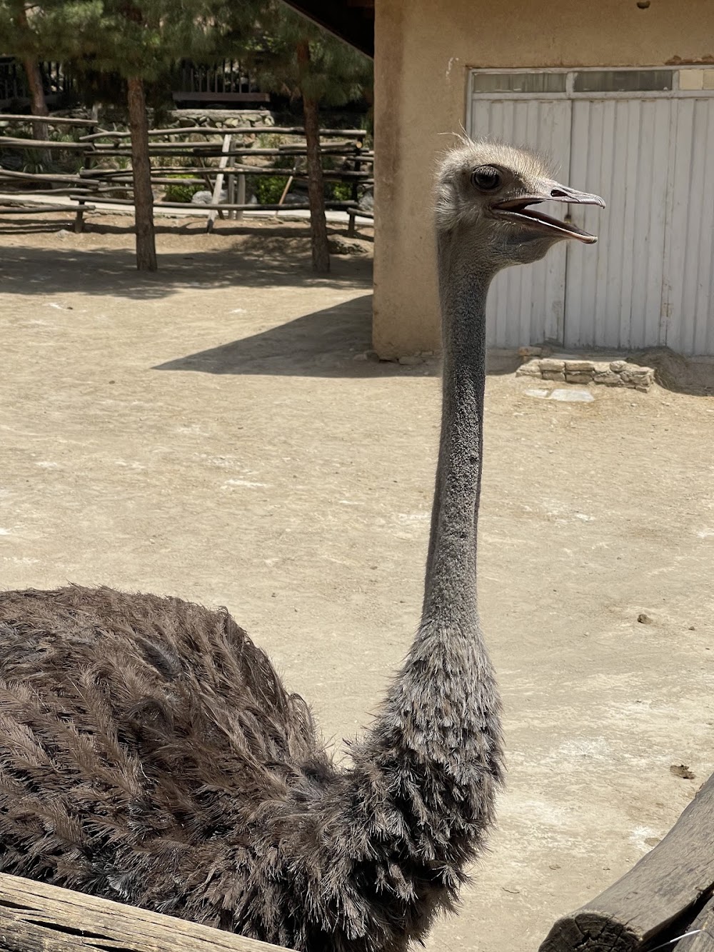 Tehran Birds Garden photo 3