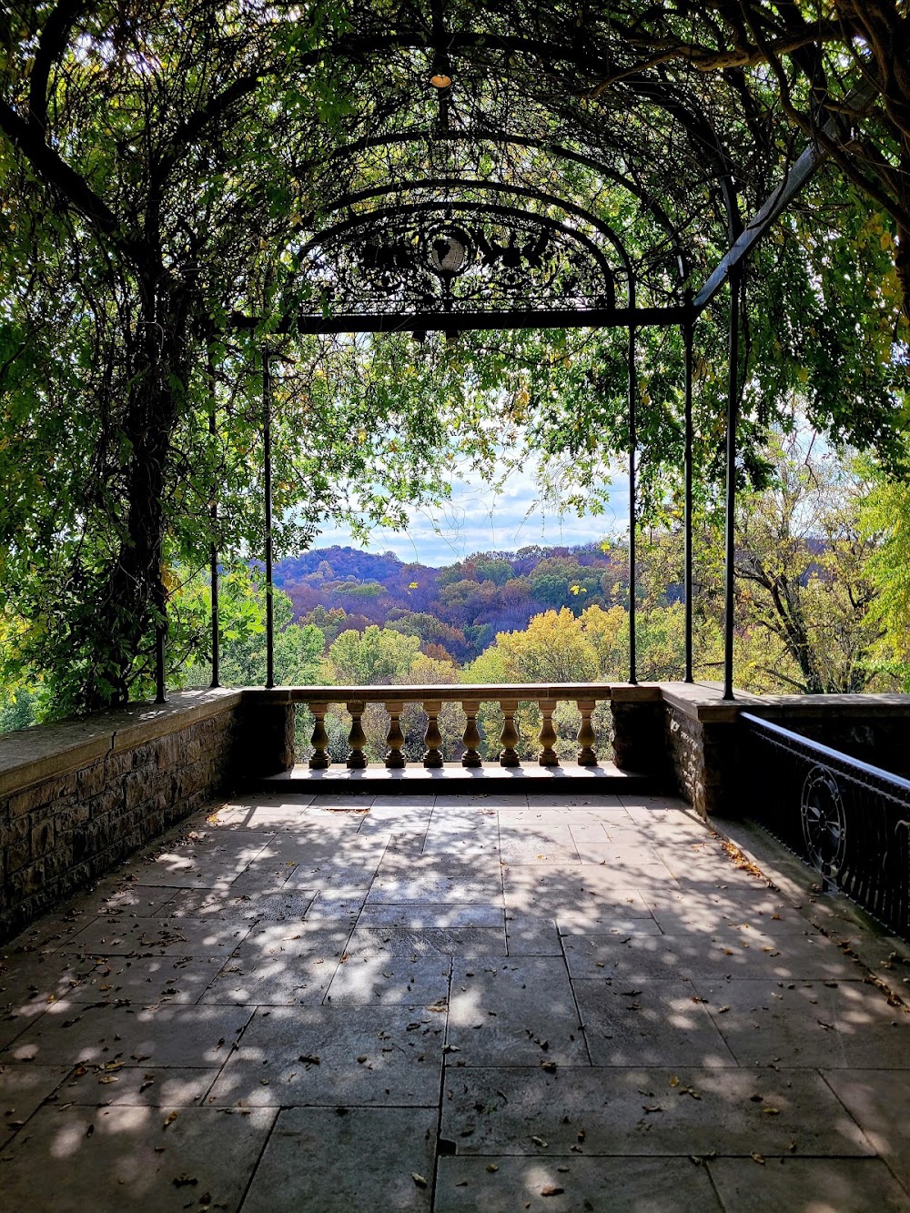 Cheekwood Estate & Gardens photo 3