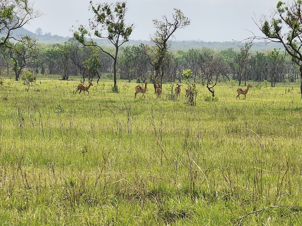 Shai Hills Reserve photo 3