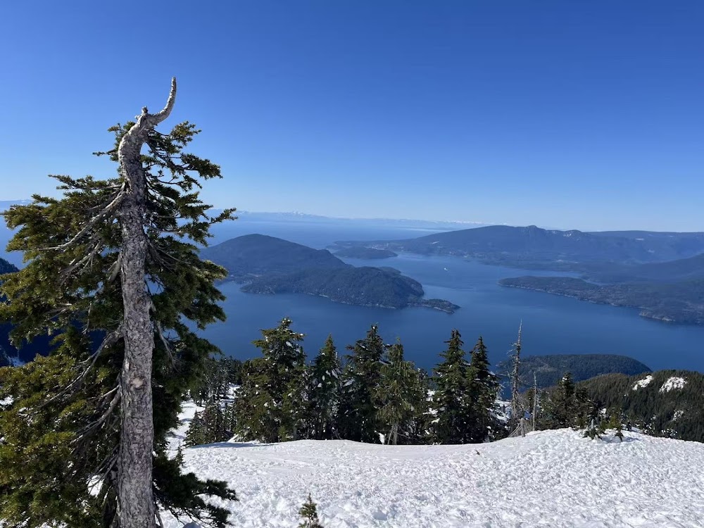 Cypress Mountain photo 3