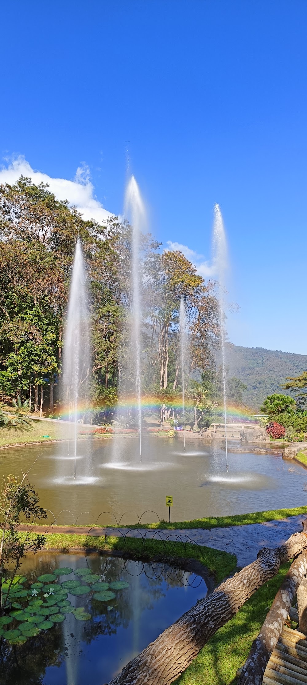 Queen Sirikit Botanic Garden photo 3