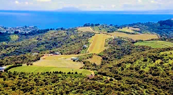 Waiheke Island photo 3
