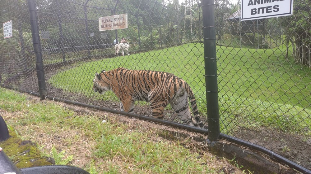 Panaewa Rainforest Zoo photo 2