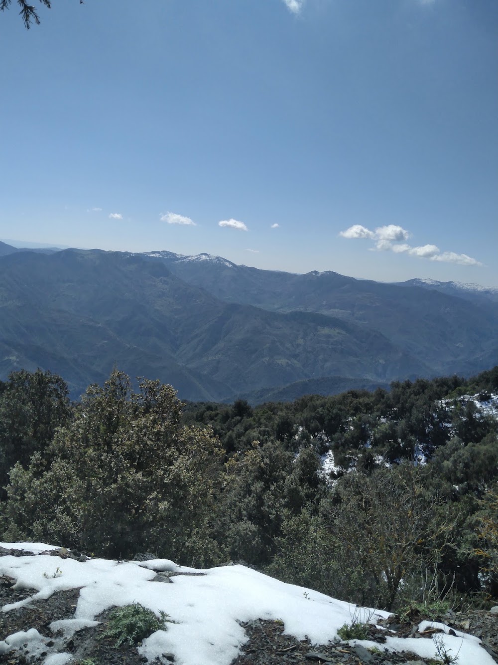 Chrea National Park photo 2
