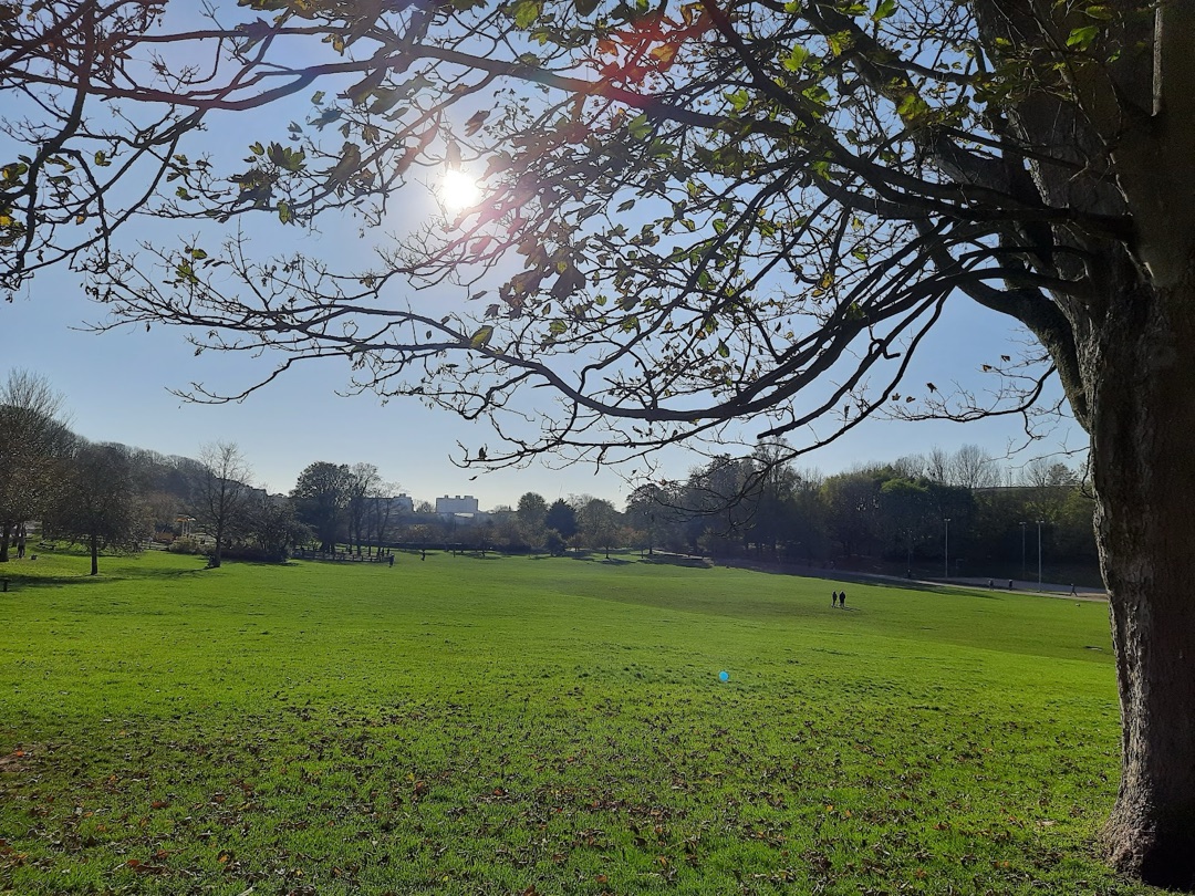 Hove Park photo 2