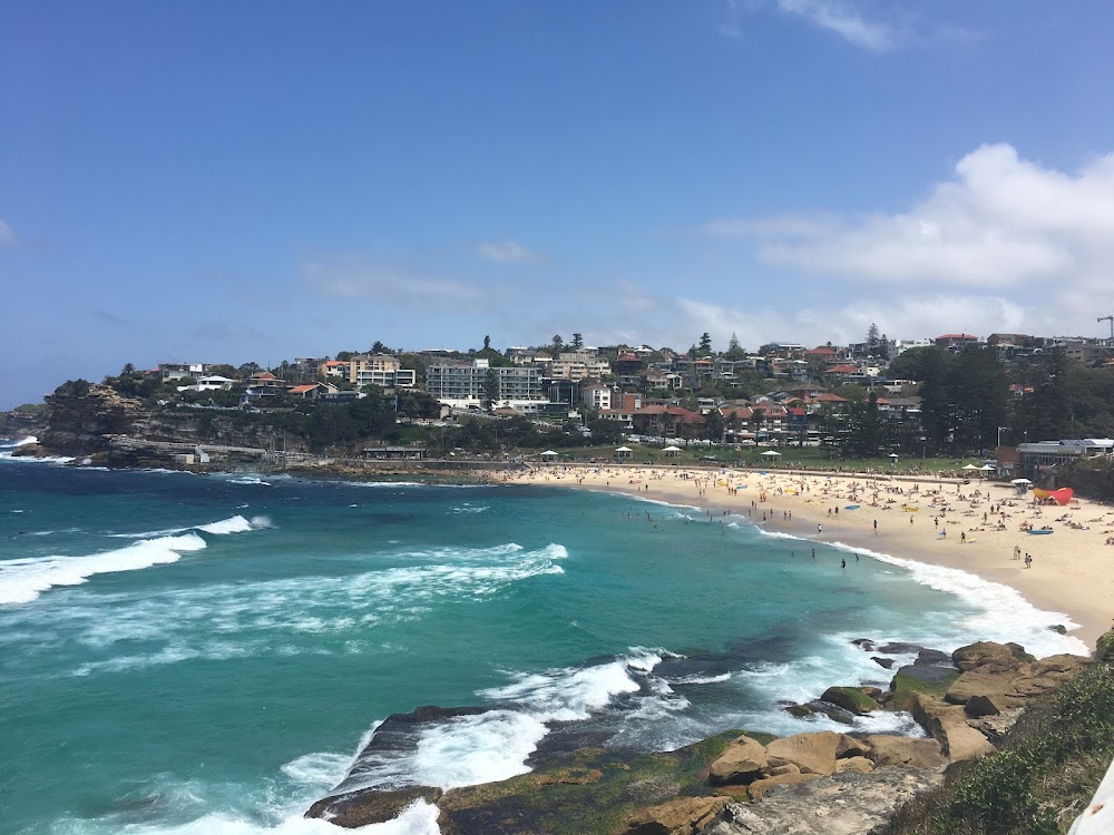 Bondi to Coogee Coastal Walk photo 2