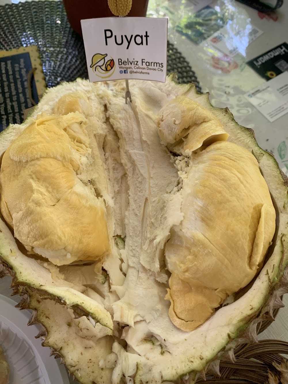 Belviz Durian Farm