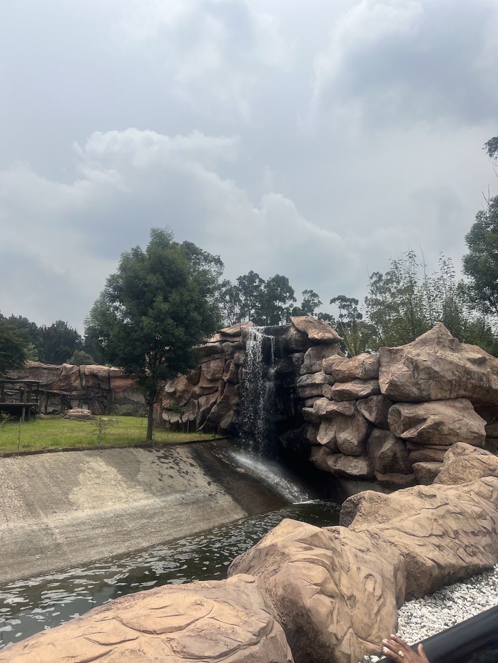 Black Lion Zoo