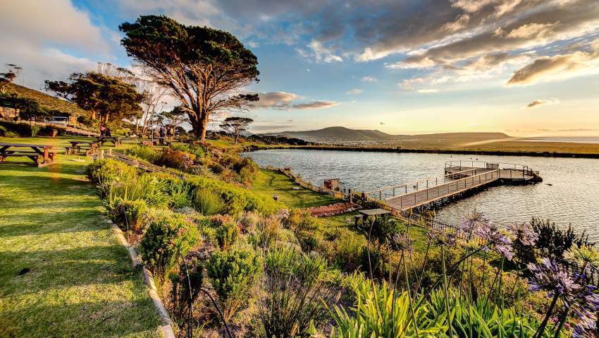 Cape Point Winery