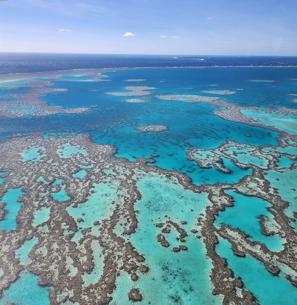Heart Reef photo 2