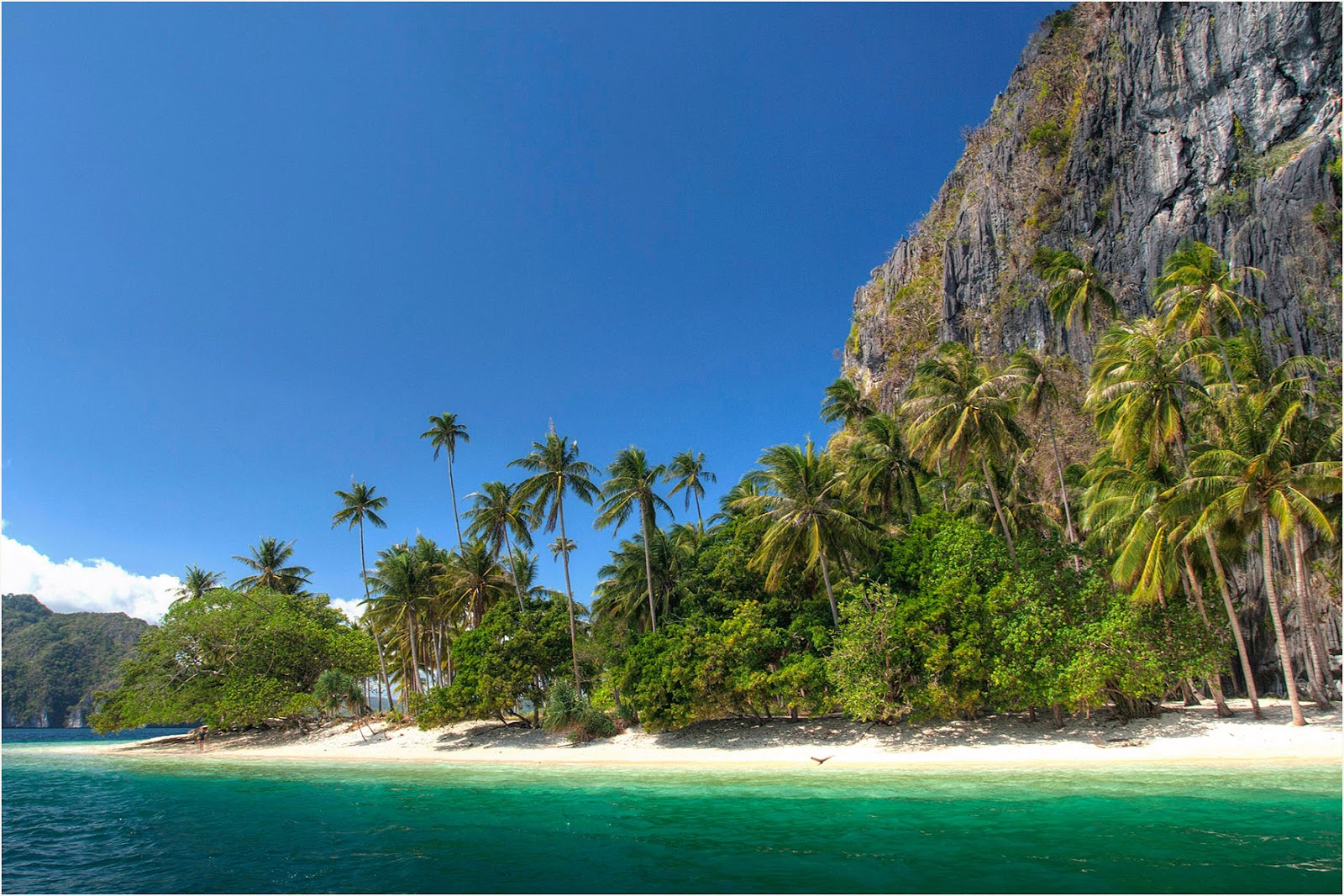 Pinagbuyutan Island photo 2