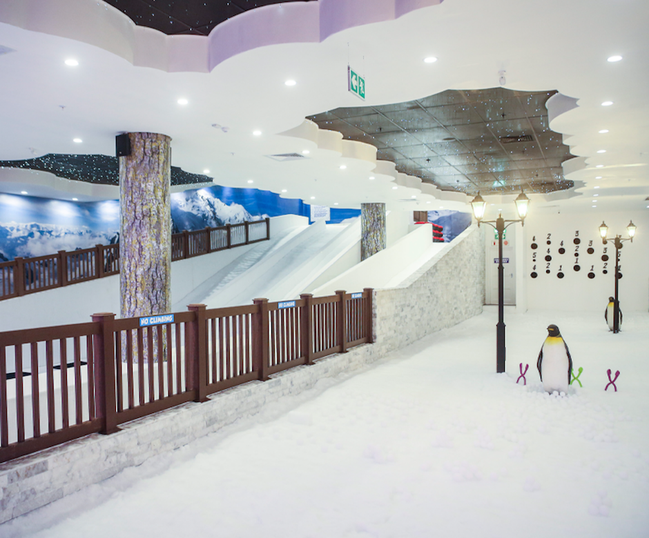Snow Wonderland