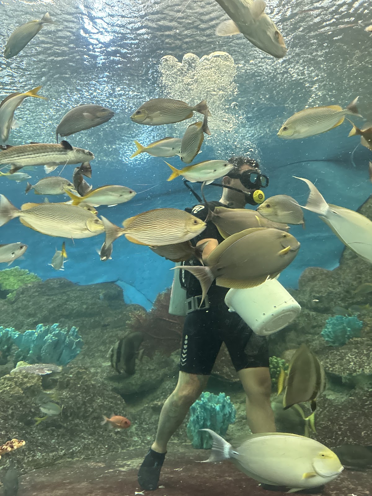 Underwater World Pattaya