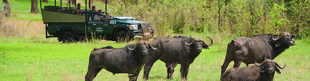 Zambezi National Park