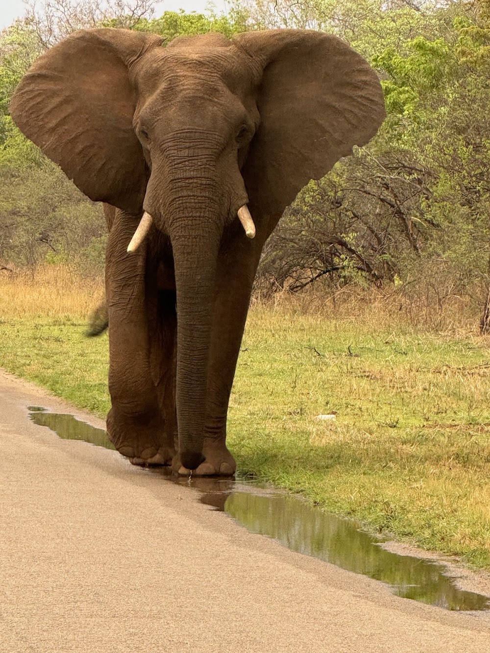 Zambezi National Park photo 3