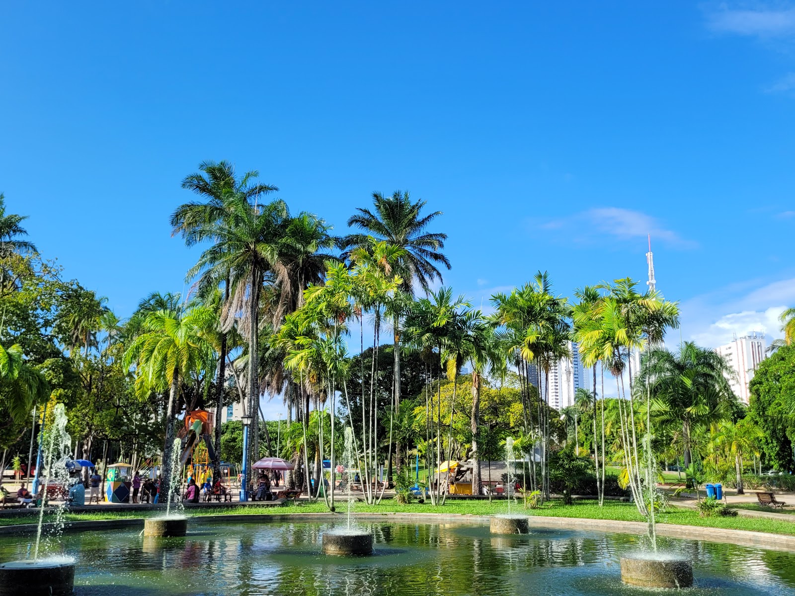 Parque 13 de Maio