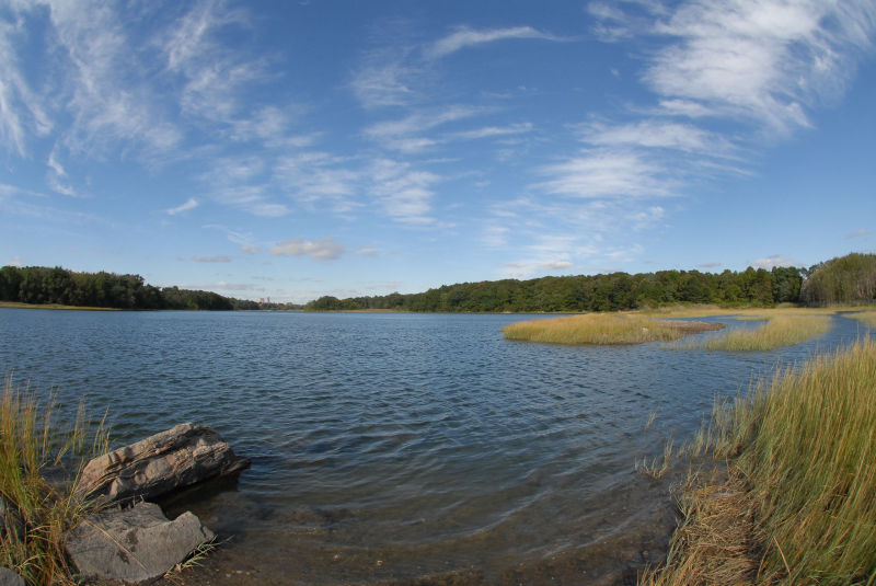 Pelham Bay Park photo 3