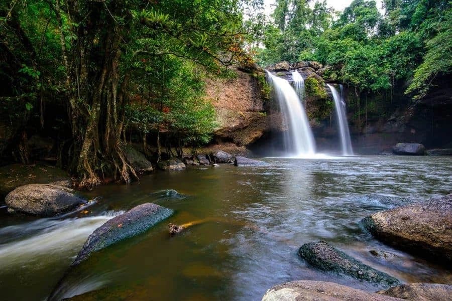 Khao Yai National Park photo 2