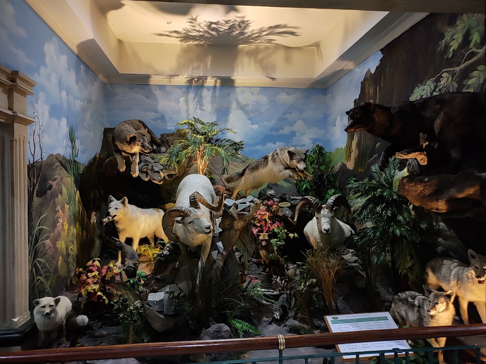 Rahmat Art Gallery photo 3