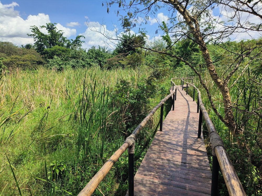 Umusambi Village