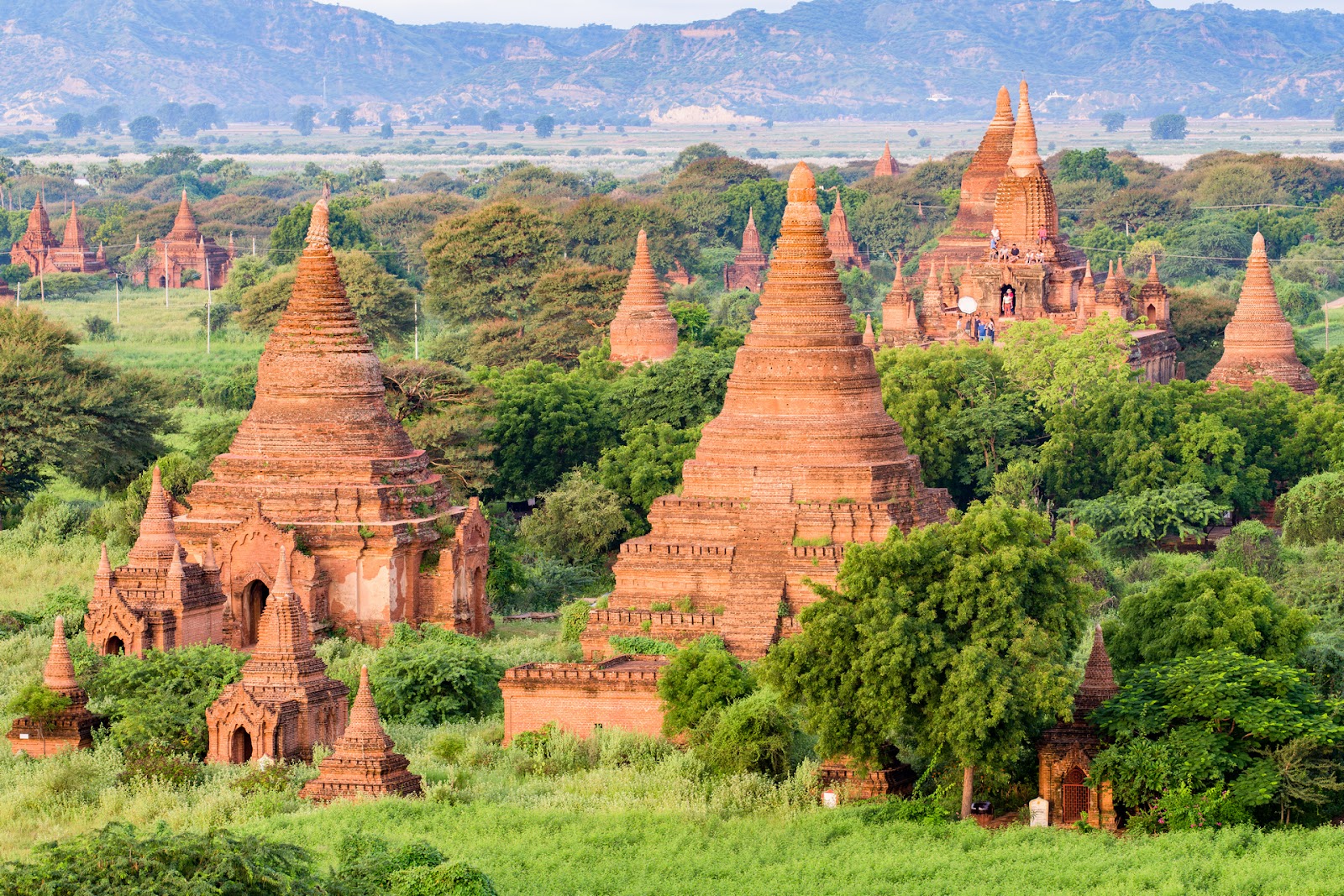 Dhammayangyi Temple